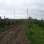 off road noroi reghin