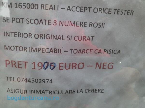 Toarce ca pisica