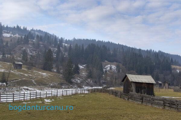 Cu mocanița Huțulca la Moldovița, Suceava, România.