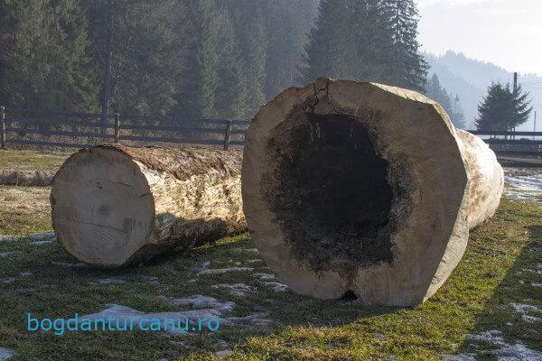 Cu mocanița Huțulca la Moldovița, Suceava, România.