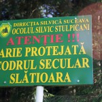 Codrii seculari Slatioara