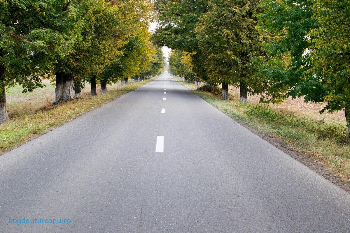 04.10.2014 – Mișcare pe bicicletă