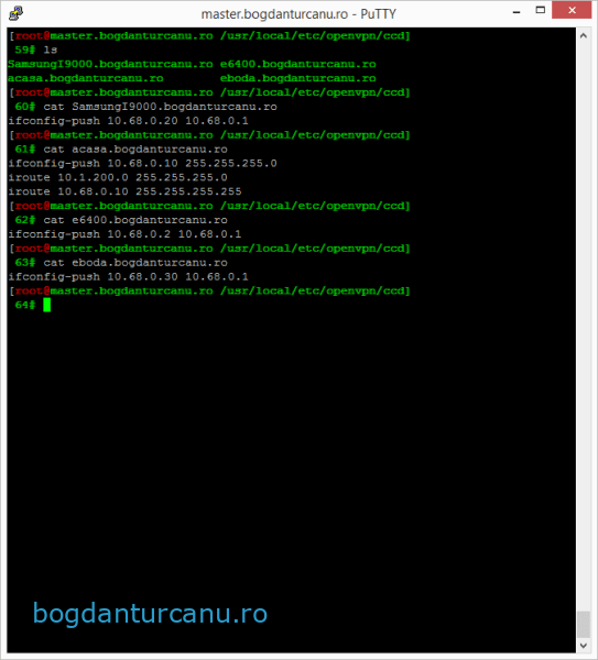 openvpn-ccd-continut-director